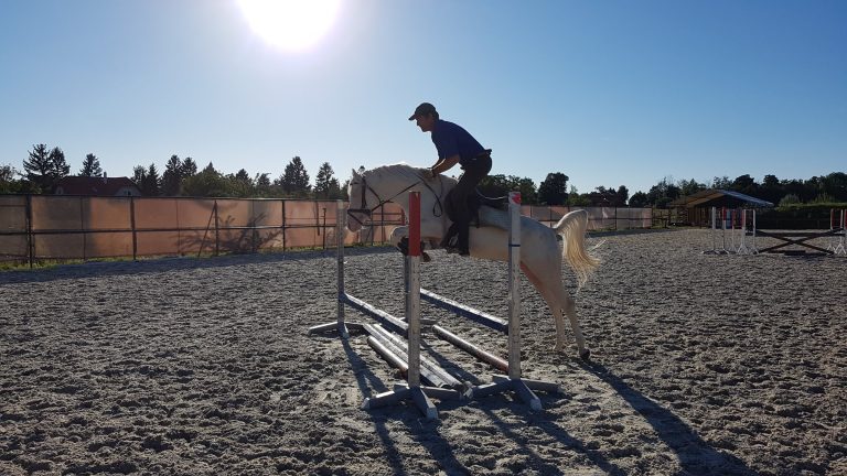 44249054 295800684586480 2222979681185955840 o 768x432