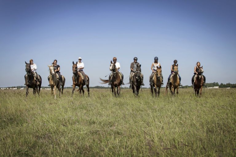 447384345 3604645783183380 6445746544266422800 n 768x512