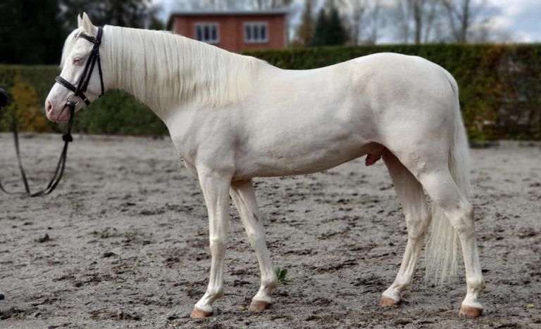 469456148 1764124354420765 1417095571745834254 n 768x468