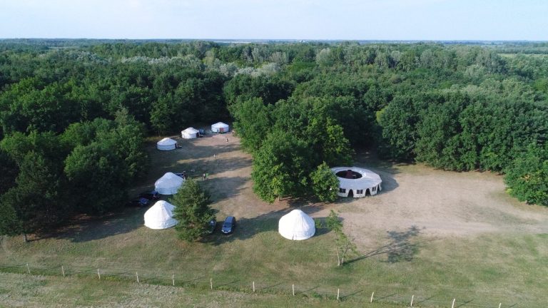 AT forest 10 768x432