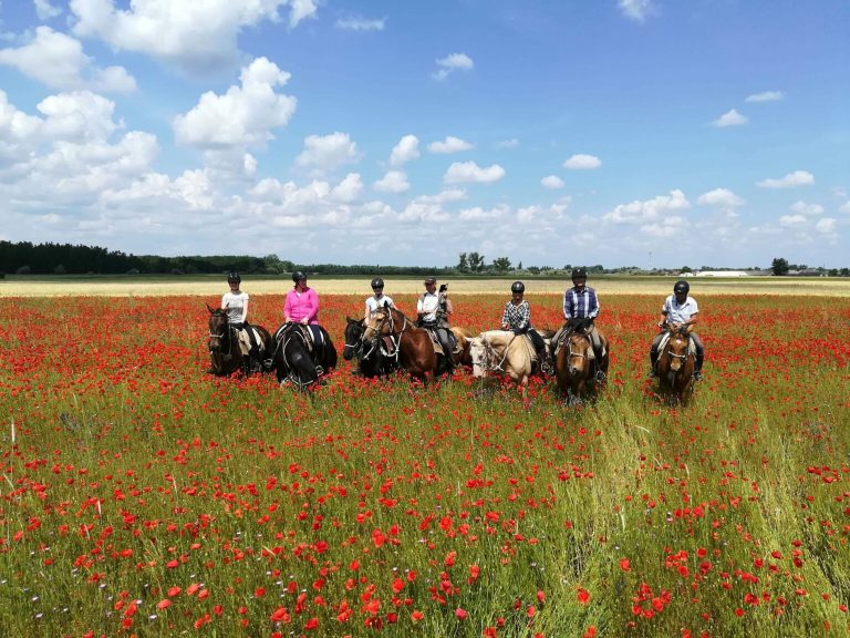 IMG 20180524 111246 1536x1152 1 768x576