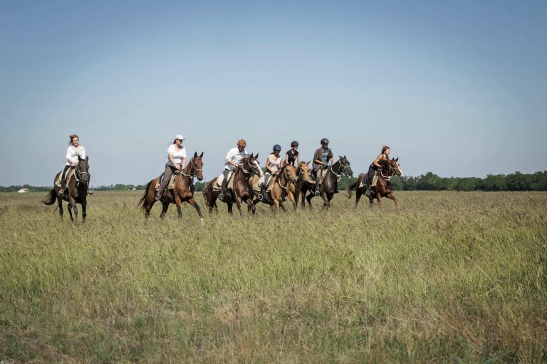 IMG 6573 masolat 1536x1024 1 768x512