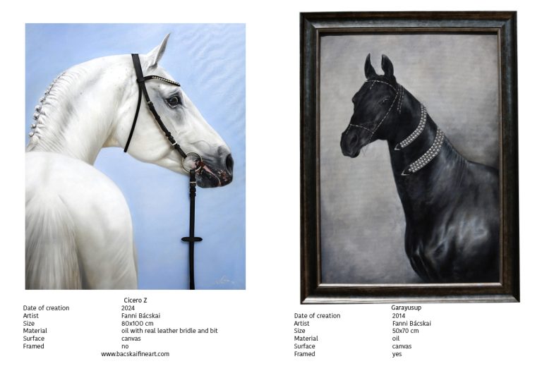 Katalogus 2024 tel11 768x543