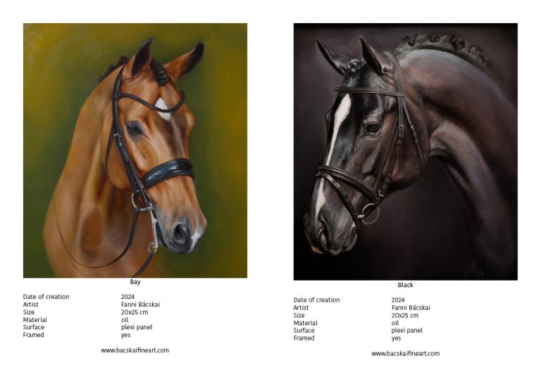 Katalogus 2024 tel13 768x543