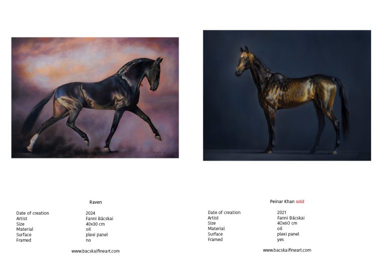 Katalogus 2024 tel17 768x543