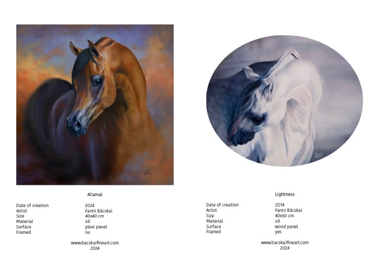 Katalogus 2024 tel6 768x543