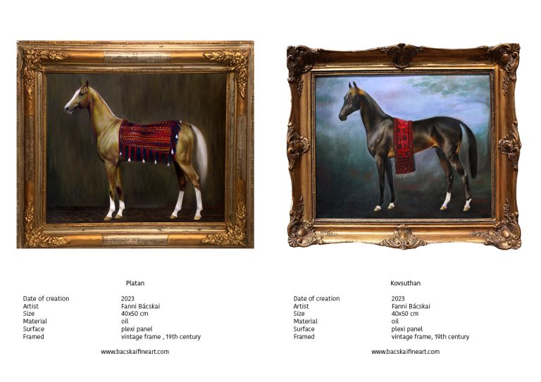 Katalogus 2024 tel9 768x543