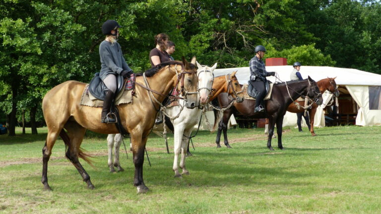 P1170069 1536x863 1 768x432