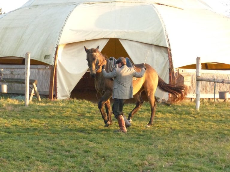 Rego idomit 1 768x576