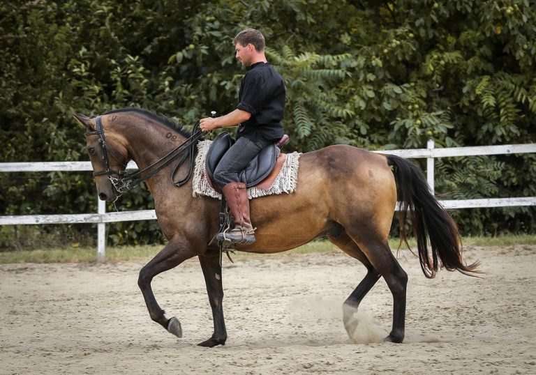 Rego idomit 3 768x538