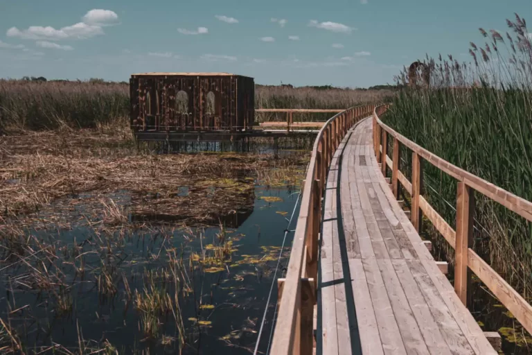 Sandorfalva Okopark 1 768x512