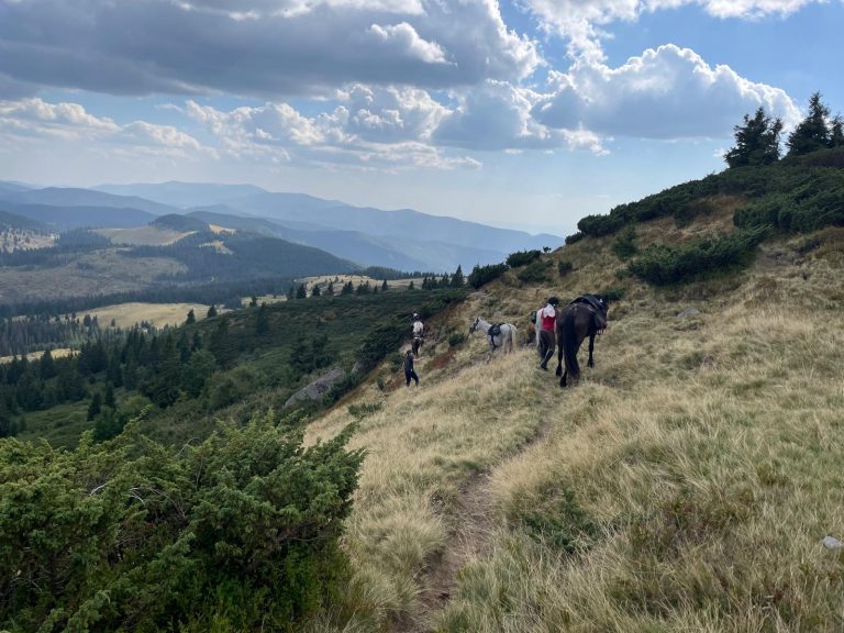 WhatsApp kep  2024 09 06  07.16.51 646b48fe 768x576