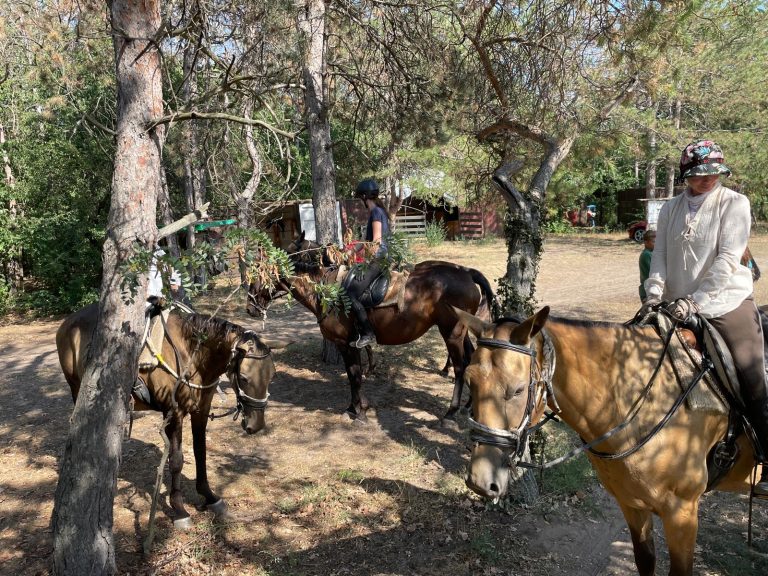 WhatsApp kep  2024 09 07  07.52.49 2fd2933e 768x576