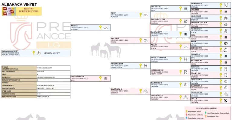 a2db2a9a 9fc1 45a8 9816 e2c588c70eee 768x398