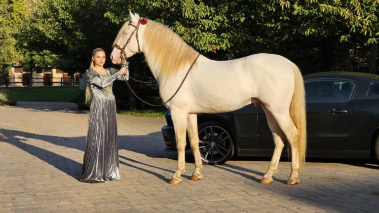 ba250152 a2f0 4c41 b967 52bf56aec7e3 768x432