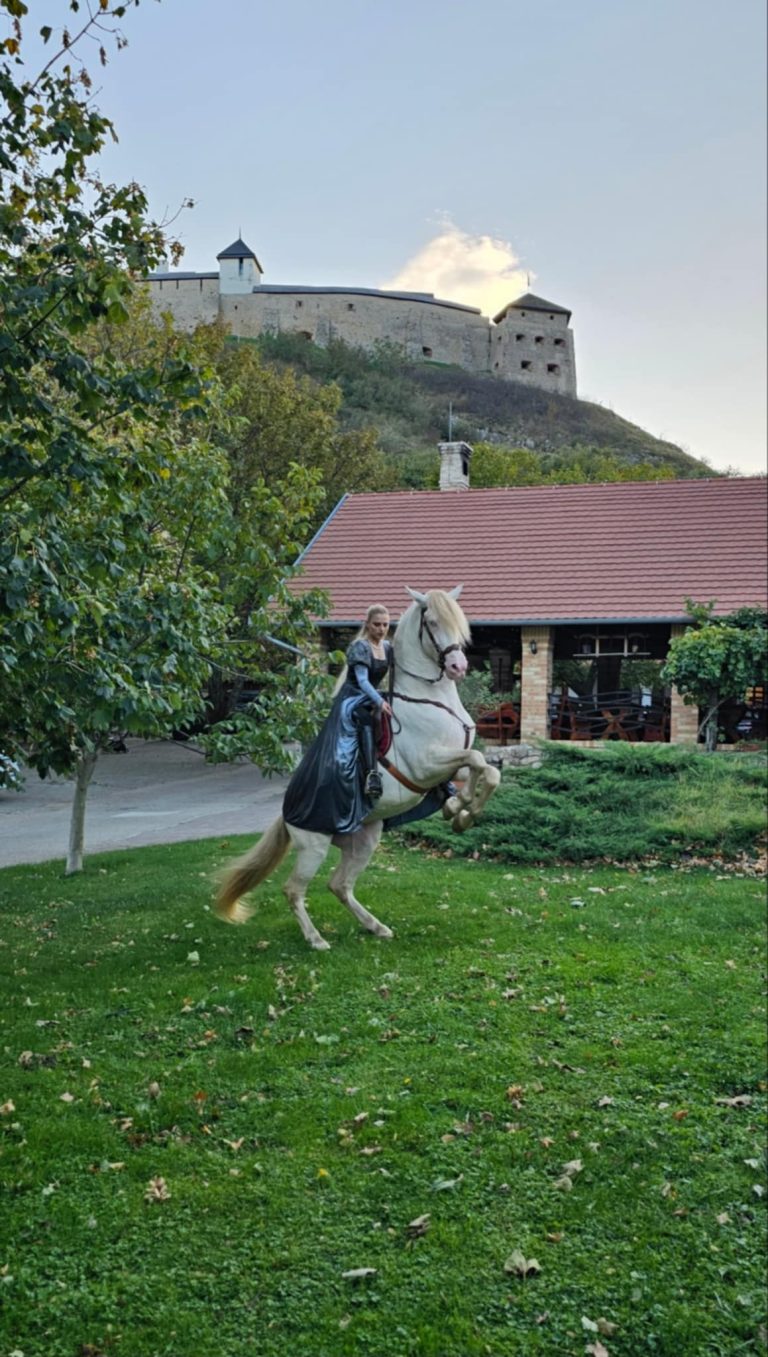 f109fef9 4247 4d74 ba54 9d39697b103f 768x1357