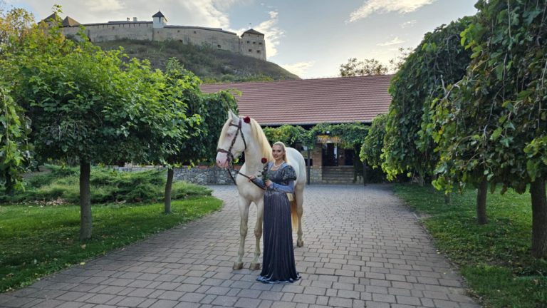 f22da04b caa2 441b af80 aaad265d838c 768x432