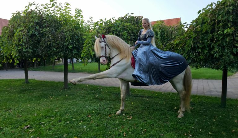 fd4e6a16 4506 41dc bc4a dfc697d675e7 768x444