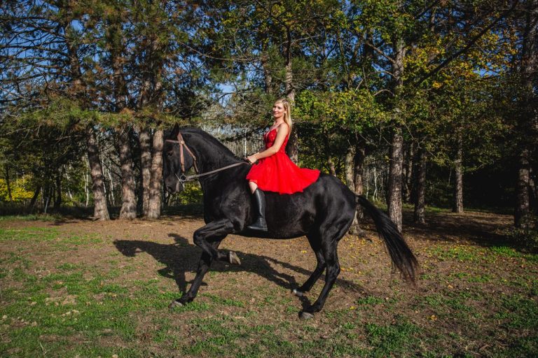 iskolaallj 3 768x512