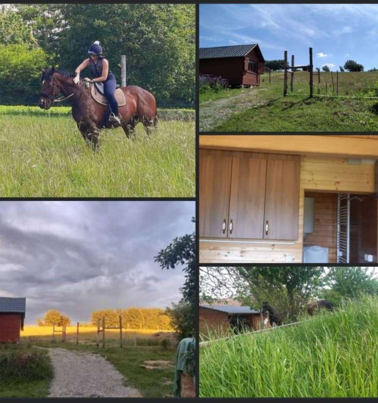 lovasok.hu Kollazs 768x819