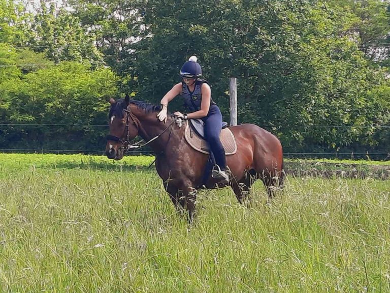 lovasok.hu Lo es lovasa 768x576