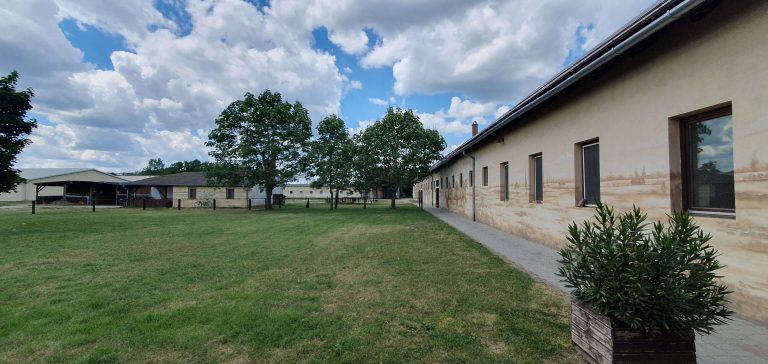 20240515 135222 768x364