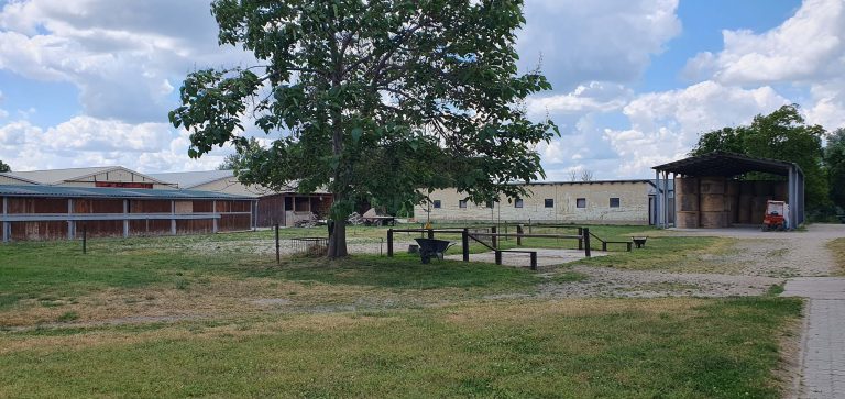 20240515 135304 768x363