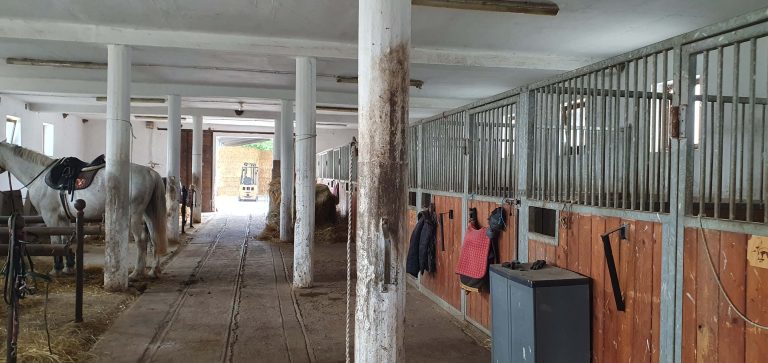 20240515 135335 768x363