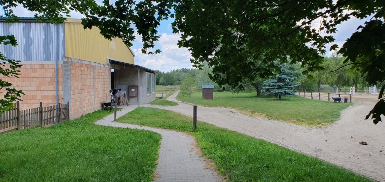 20240515 135548 768x363