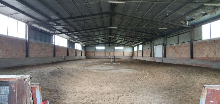 20240515 135631 768x364