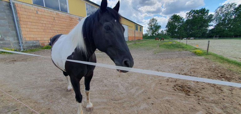 20240515 135826 768x364