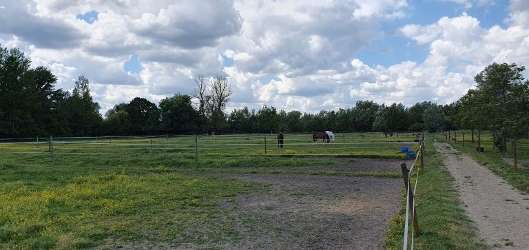 20240515 135931 768x363