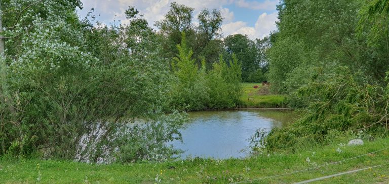 20240515 135953 768x363