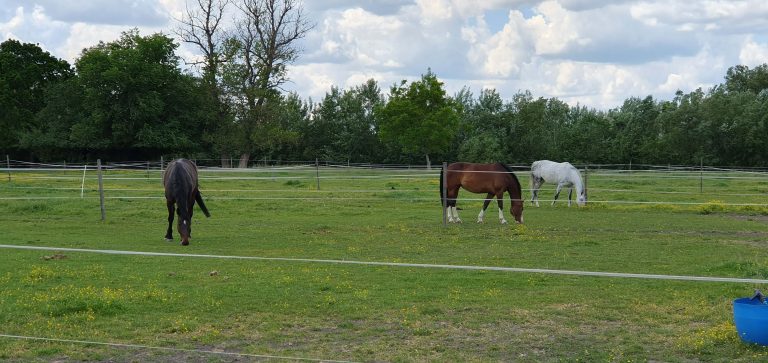 20240515 140019 768x363