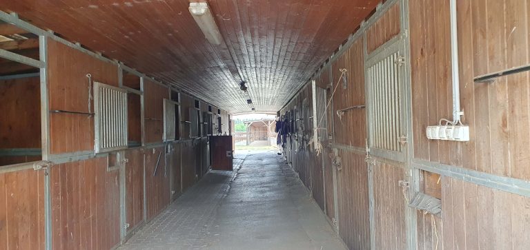 20240515 140710 768x363