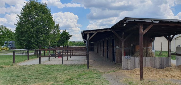 20240515 140809 1 768x363