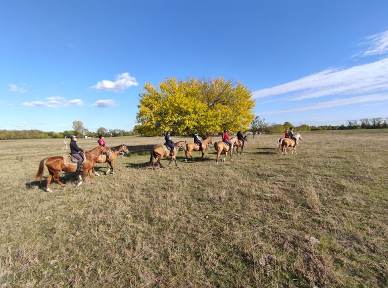 247738987 567823414519900 4675633636948009352 n 768x570