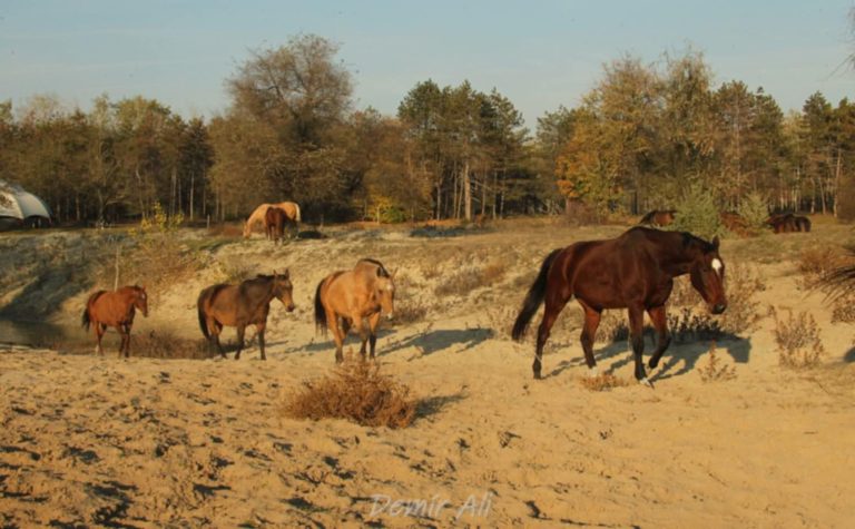 93b0990a 94c9 4a9c be9d 76e4607abf16 768x475