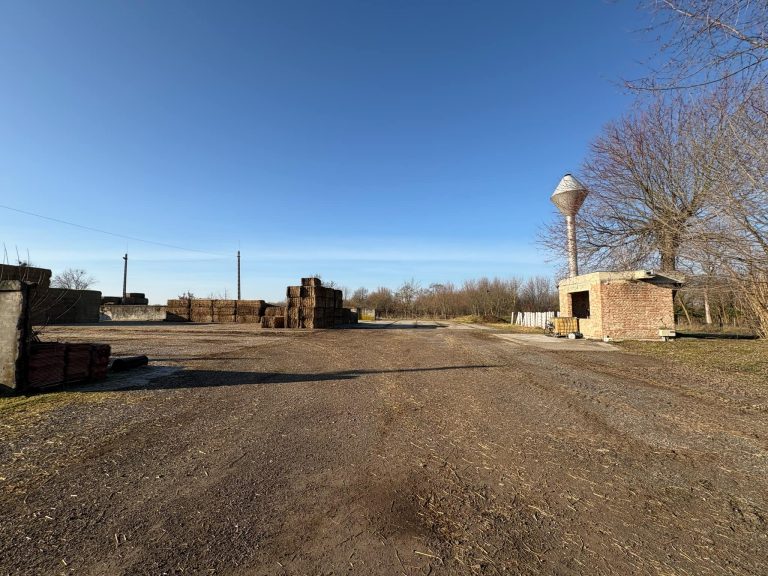 058909b8 2ebb 4775 b7ac cdd5b63bf30c 768x576