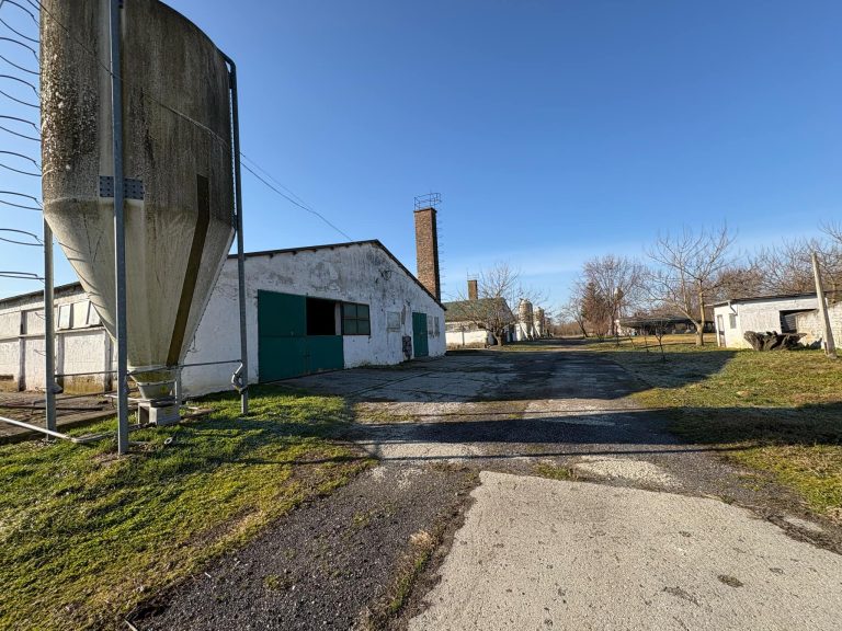 3cabc413 39f0 4203 918a a0bd5a74c48c 768x576