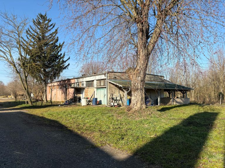 5049e200 a0c8 43a0 b6df 7e774f7dec49 768x576