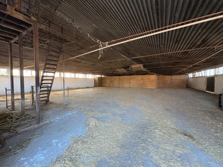 7334de6c ada7 4dee a5ea 7838e25b8645 768x576