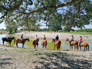 IMG 20210723 184435 079 1536x1152 1 300x225