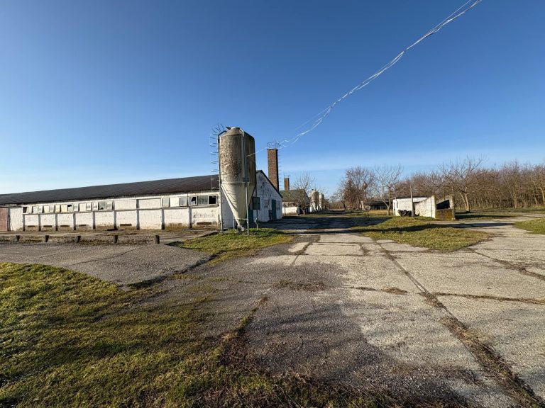 a0b6982e bf02 41e9 b1f0 9eba63c3511a 768x576