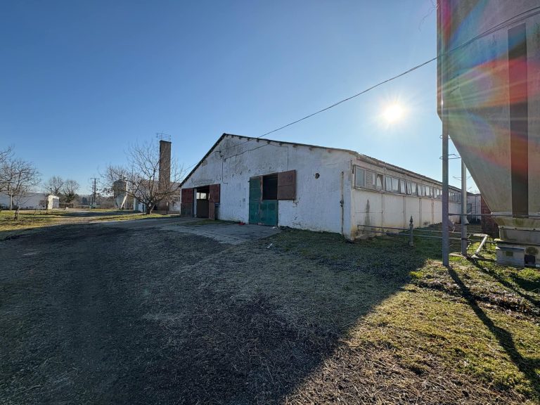 ce7e9f59 0cd5 47db b137 f6552cf92c9e 768x576