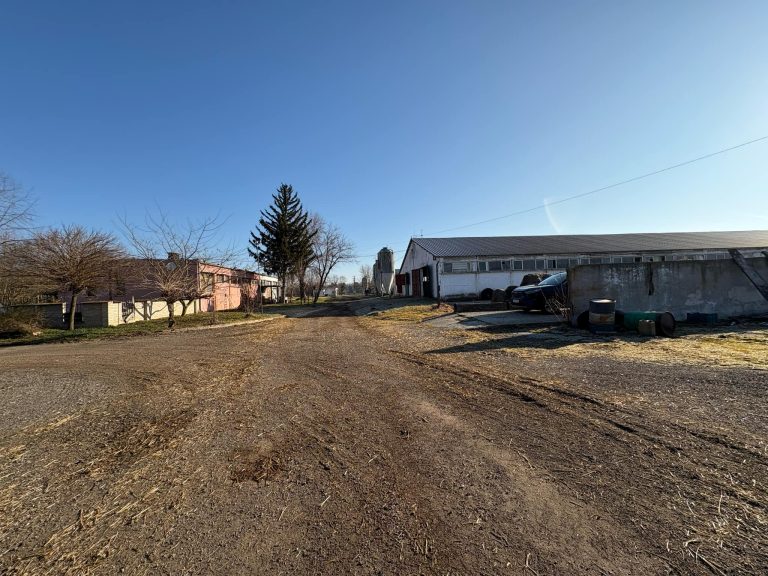 e009bd5a 32e1 4a56 9eb7 45e62c21bc5d 768x576