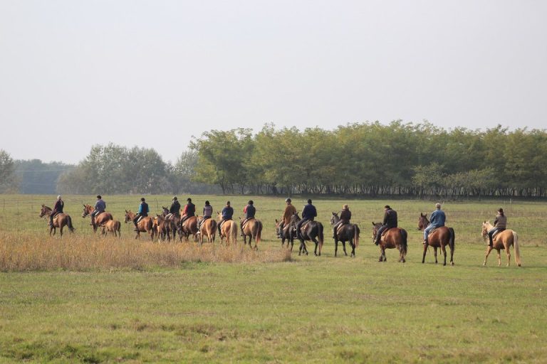 032 IMAGE 2497 1 768x512