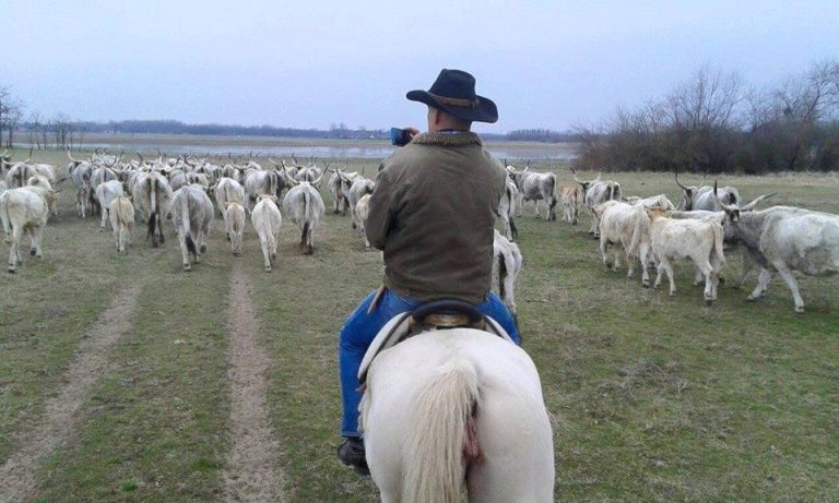 374567281 3436614253319868 2724551699122369539 n 768x461