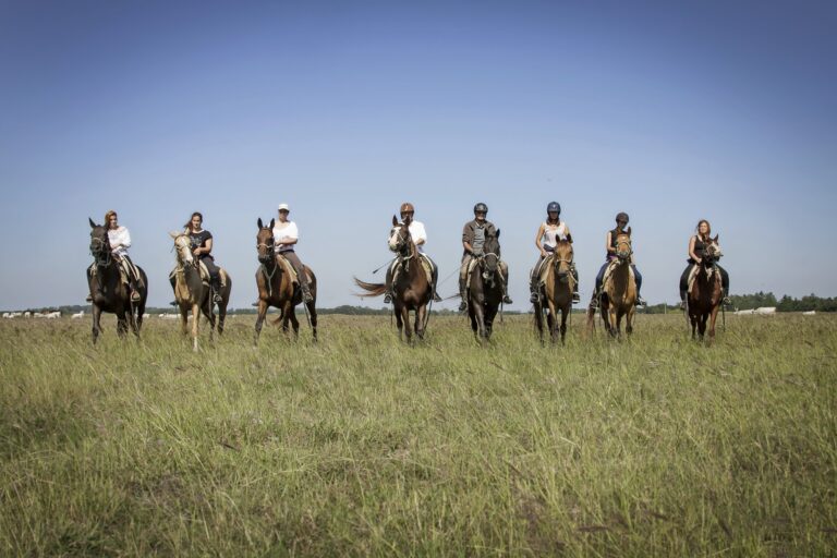 447384345 3604645783183380 6445746544266422800 n 768x512