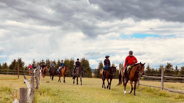 479946361 1126862295901543 4412276198784570763 n 1 768x432